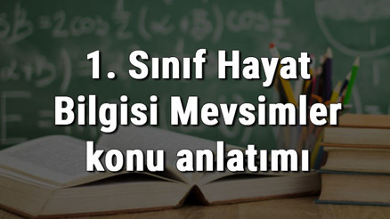 1. Sınıf Hayat Bilgisi Mevsimler konu anlatımı