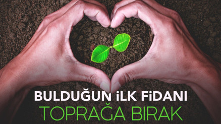 Bakan Selçuk, Gelibolu’ya fidan dikmeye davet etti