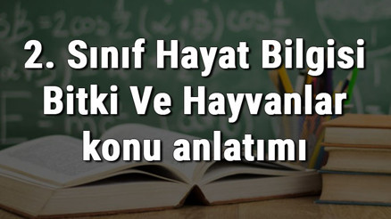 2. Sınıf Hayat Bilgisi Bitki Ve Hayvanlar konu anlatımı 2. Sınıf Hayat Bilgisi Bitki Ve Hayvanlar konu anlatımı