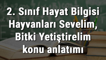 2. Sınıf Hayat Bilgisi Hayvanları Sevelim, Bitki Yetiştirelim konu anlatımı