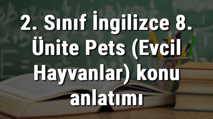 2. Sınıf İngilizce 8. Ünite Pets (Evcil Hayvanlar) konu anlatımı 2. Sınıf İngilizce 8. Ünite Pets (Evcil Hayvanlar) konu anlatımı