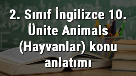 2. Sınıf İngilizce 10. Ünite Animals (Hayvanlar) konu anlatımı 2. Sınıf İngilizce 10. Ünite Animals (Hayvanlar) konu anlatımı