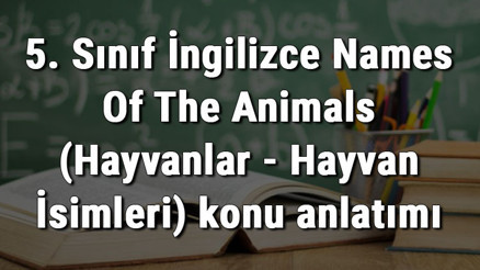 5. Sınıf İngilizce Names Of The Animals (Hayvanlar - Hayvan İsimleri) konu anlatımı 5. Sınıf İngilizce Names Of The Animals (Hayvanlar - Hayvan İsimleri) konu anlatımı