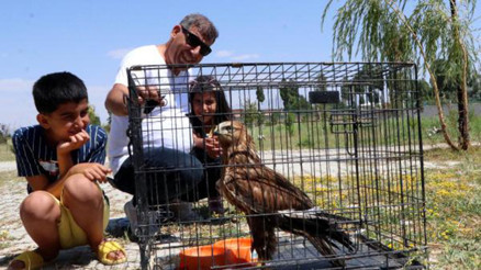 Türkiyede ilk kez tek seferde 20 yabani hayvan doğaya salındı