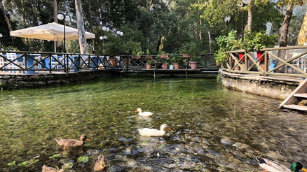 Bu yaz Akyaka’da neler yapılır