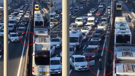 Merterde D-100 trafiğini durdurdu; sürücünün kedi kurtarma operasyonu