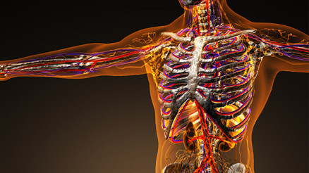 Yetersiz fiziksel aktivite yaşlılarda kas erimesini artırabilir