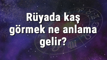 Rüyada kaş görmek ne anlama gelir Rüyada kaş almak ve aldırmak tabiri Rüyada kaş görmek ne anlama gelir Rüyada kaş almak ve aldırmak tabiri