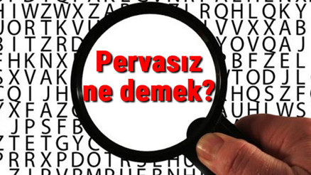 Pervasız ne demek Pervasız nedir Pervasız TDK kelime anlamı Pervasız ne demek Pervasız nedir Pervasız TDK kelime anlamı