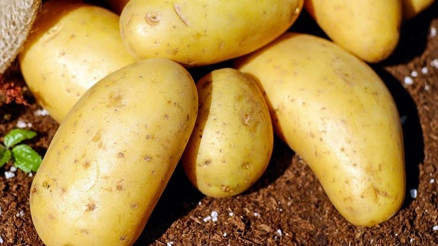 Kibrit patates nedir, nasıl yapılır Kibrit patates tarifi