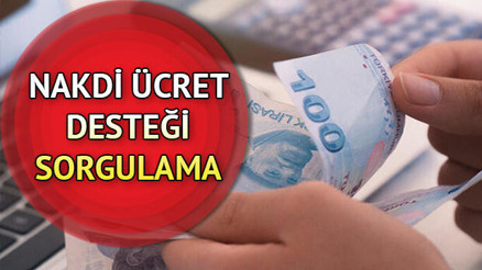 Ücretsiz izin desteği (nakdi ücret desteği) yattı mı Nakdi ücret desteği sorgulama ekranı