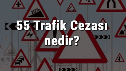 55 Trafik Cezası nedir Madde 55 Trafik Cezası ne kadar Ceza puanı kaçtır (2020)