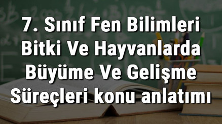 7. Sınıf Fen Bilimleri Bitki Ve Hayvanlarda Büyüme Ve Gelişme Süreçleri konu anlatımı 7. Sınıf Fen Bilimleri Bitki Ve Hayvanlarda Büyüme Ve Gelişme Süreçleri konu anlatımı