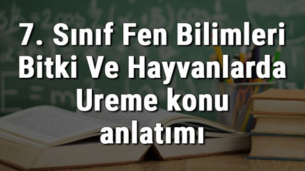 7. Sınıf Fen Bilimleri Bitki Ve Hayvanlarda Üreme konu anlatımı 7. Sınıf Fen Bilimleri Bitki Ve Hayvanlarda Üreme konu anlatımı