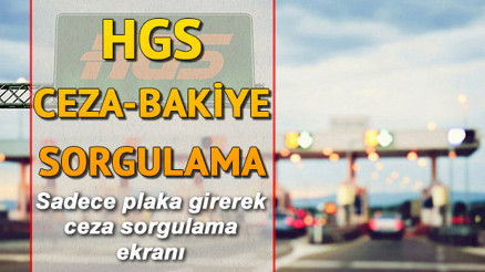 HGS ceza kontrol ve bakiye sorgulama ekranı Plakadan ceza sorgula