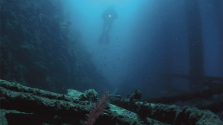 Kuşadası sualtı turizminin yeni adresi oldu