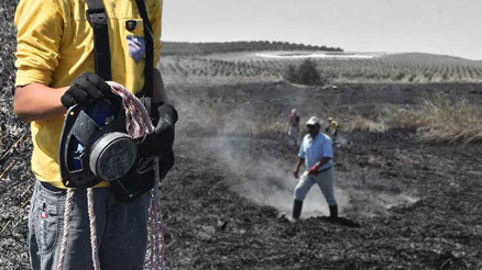 Manisada meteor yangını olduğu iddia edilen alanda gök taşı aradılar