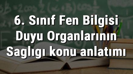 6. Sınıf Fen Bilgisi Duyu Organlarının Sağlığı konu anlatımı 6. Sınıf Fen Bilgisi Duyu Organlarının Sağlığı konu anlatımı
