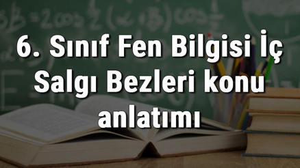 6. Sınıf Fen Bilgisi İç Salgı Bezleri konu anlatımı