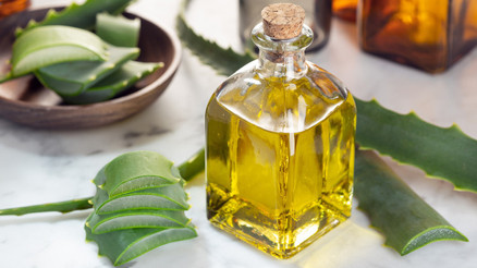 Aloe Vera Yağının Faydaları Neler Ev Yapımı Aloe Vera Yağı Tarifi...