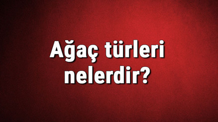 Ağaç türleri nelerdir Ağaç çeşitleri ve isimleri hakkında bilgiler