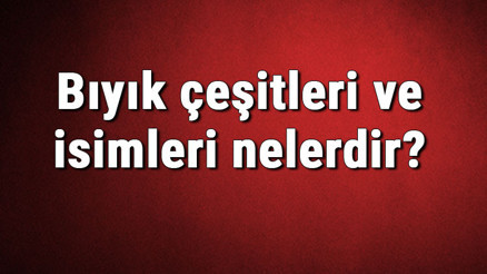 Bıyık çeşitleri ve isimleri nelerdir Bıyık türleri hakkında bilgiler