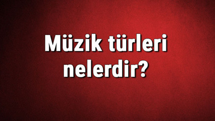Müzik türleri nelerdir Müzik çeşitleri ve isimleri hakkında bilgiler