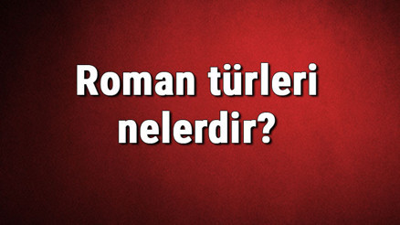 Roman türleri nelerdir Roman çeşitleri ve isimleri hakkında bilgiler
