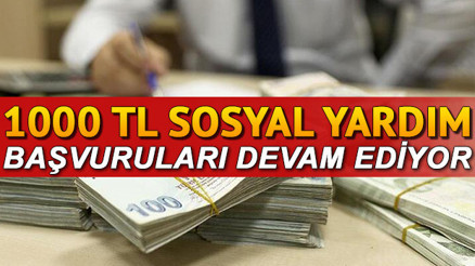 3. faz pandemi 1000 TL sosyal yardım başvurusu ne zaman sonuçlanır Devlet pandemi yardımı başvuru ve sonuç ekranı