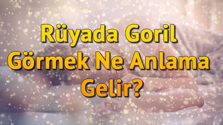 Rüyada Goril Görmek Ne Anlama Gelir Rüyada Goril Sevmek Ve Goril Yavrusu Görmek Tabiri