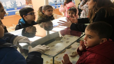 Tabiat Tarihi Müzesi Nerede Tabiat Tarihi Müzesi Tarihçesi, Eserleri, Giriş Ücreti Ve Ziyaret Saatleri (2023)