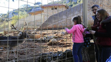 Antalya Hayvanat Bahçesi Nerede Antalya Hayvanat Bahçesi Hayvanları, Giriş Ücreti, Çalışma Saatleri Ve İletişim Bilgileri (2020) Antalya Hayvanat Bahçesi Nerede Antalya Hayvanat Bahçesi Hayvanları, Giriş Ücreti, Çalışma Saatleri Ve İletişim Bilgileri (2020)