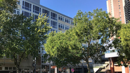 Öğrencilerin yeni okul arkadaşı MintiCity Öğrencilerin yeni okul arkadaşı MintiCity