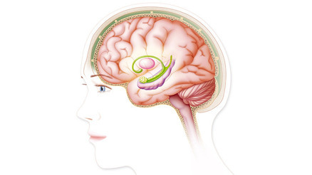 Beyin Pillerinin Yerini Musk’ın Çipi mi Alacak