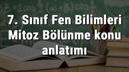 7. Sınıf Fen Bilimleri Mitoz Bölünme konu anlatımı 7. Sınıf Fen Bilimleri Mitoz Bölünme konu anlatımı