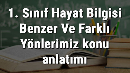 1. Sınıf Hayat Bilgisi Benzer Ve Farklı Yönlerimiz konu anlatımı 1. Sınıf Hayat Bilgisi Benzer Ve Farklı Yönlerimiz konu anlatımı