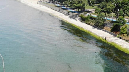 Florya Güneş Plajı Nerede Ve Nasıl Gidilir Florya Güneş Plajı Özellikleri, Kamp İle Konaklama Detayları Ve Giriş Ücreti (2023)