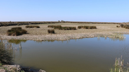 Kızılırmak Deltasındaki yangın, UNESCO sürecini etkilemeyecek Kızılırmak Deltasındaki yangın, UNESCO sürecini etkilemeyecek