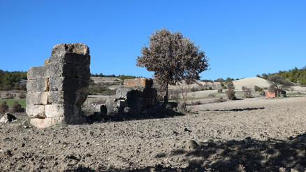 Türkiyenin peşini bırakmadığı antik yazıt İtalyadan geri alınıyor