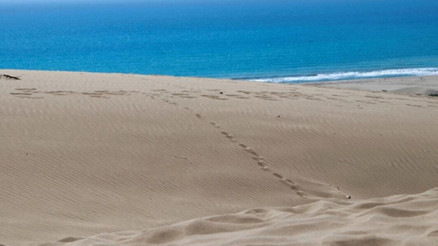 Patara Plajı Nerede Ve Nasıl Gidilir Patara Plajı Özellikleri, Kamp İle Konaklama Detayları Ve Giriş Ücreti (2023)