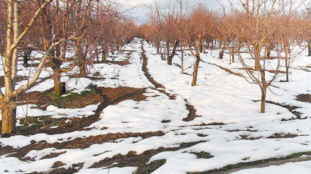 8 yıldır aranıyordu Haticenin katili yakalandı