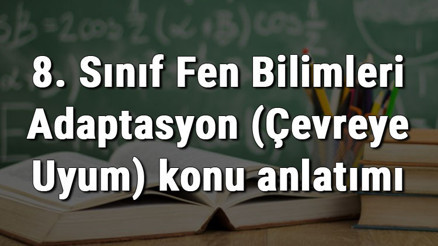 8. Sınıf Fen Bilimleri Adaptasyon (Çevreye Uyum) konu anlatımı