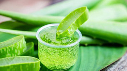 Aloe veranın faydaları saymakla bitmiyor