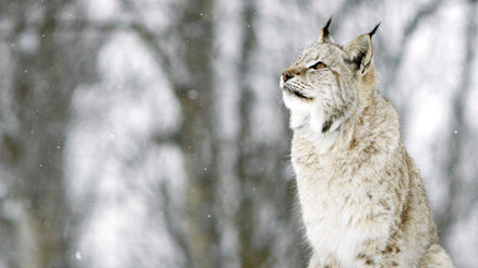 Herkese göre yeni bir program var bu hafta
