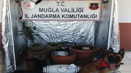 Kenevir üretimi için özel kabin