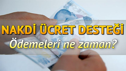 Nakdi Ücret Desteği ne zaman ödenecek İŞKUR Nakdi Ücret Desteği (Ücretsiz izin desteği) sorgulama