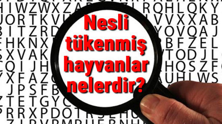Nesli tükenmiş hayvanlar nelerdir Nesli tükenmiş hayvanlar isimleri listesi ve hakkında bilgi