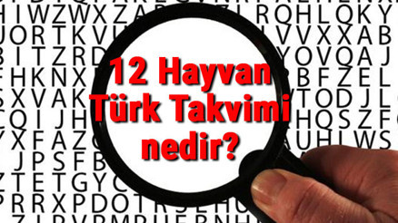12 Hayvan Türk Takvimi nedir 12 Hayvan Türk Takvimi hayvanları neler ve yıllara göre özellikleri 12 Hayvan Türk Takvimi nedir 12 Hayvan Türk Takvimi hayvanları neler ve yıllara göre özellikleri