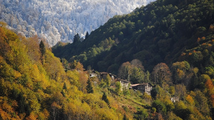 Güz resitali başladı