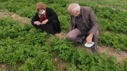 Kışlık konserve hazırlıklarında son demler